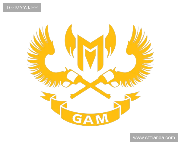 GAM Esports战队崛起之路:从挑战到荣耀的电竞征程与未来展望 GAM Esports战队崛起之路:从挑战到荣耀的电竞征程与未来展望