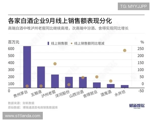 南京篮球队运营策略解析与市场发展前景探讨