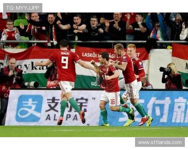 广州足球队在欧锦赛中的团队协作表现分析与点评