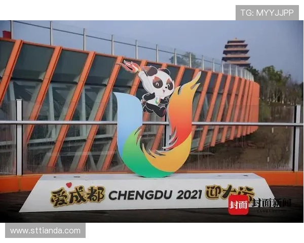 成都排球队转换策略的成效分析与未来发展方向探讨